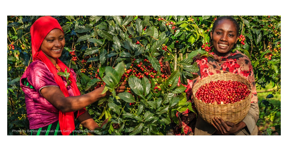 EU's Deforestation Regulation - A New Challenge for Developing Nations