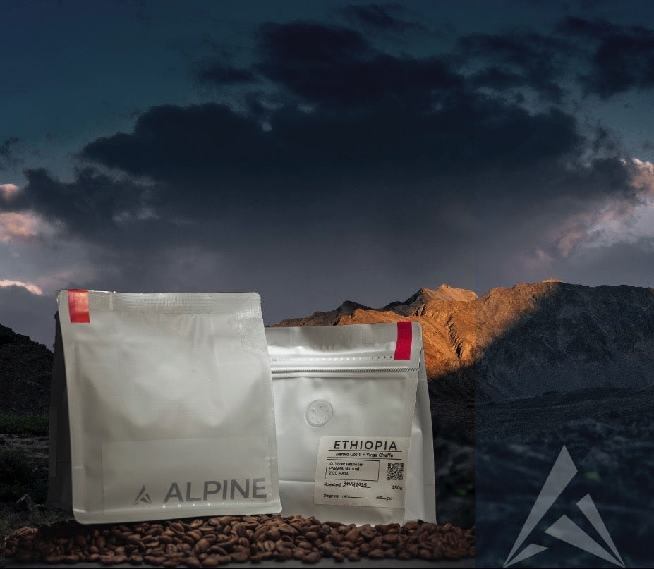 Alpine Roasters Brings Sustainable Coffee to Bosq Patio This Summer