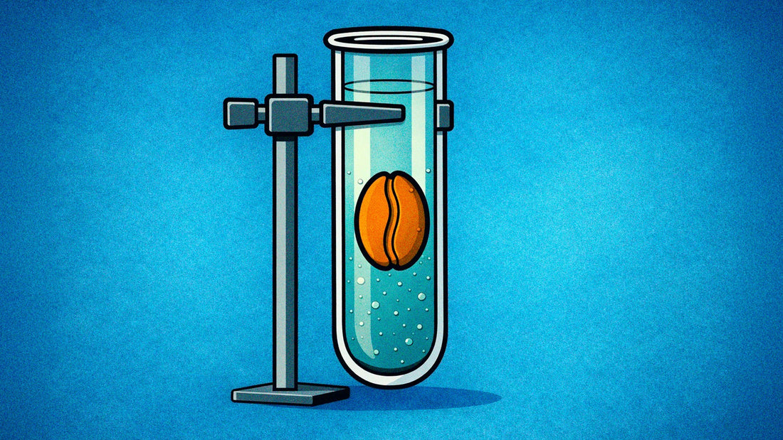 The Future of Coffee - Can Alternatives Really Replace the Classics?