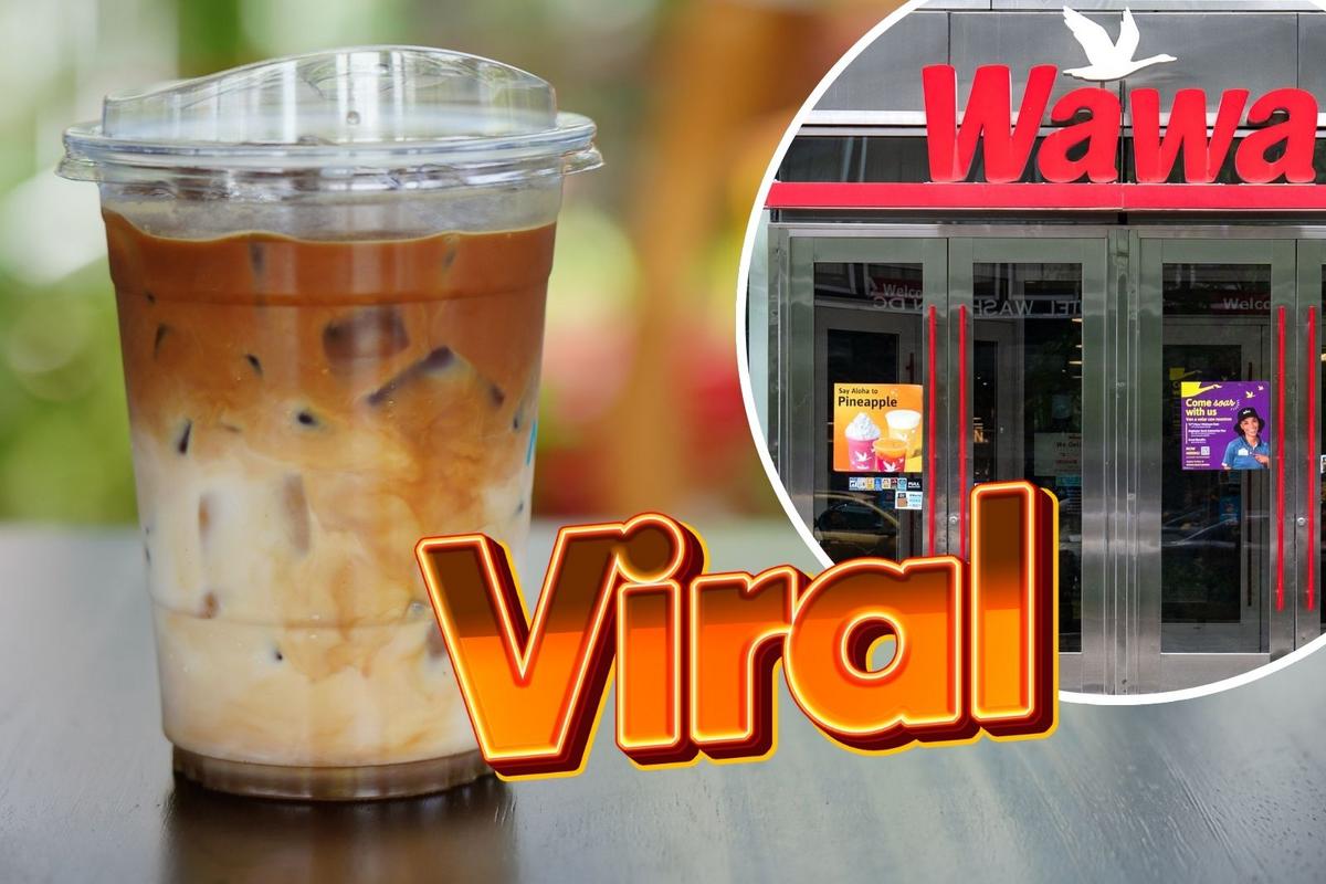 Wawa - The Beloved Convenience Store Transforming Daily Life
