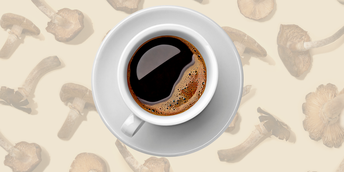 Mushroom Coffee - A Trendy Brew for Health and Wellness