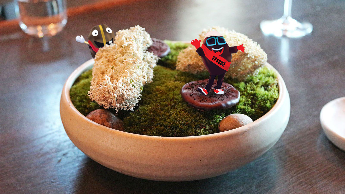 World of Coffee Copenhagen - The Ultimate Specialty Coffee Extravaganza