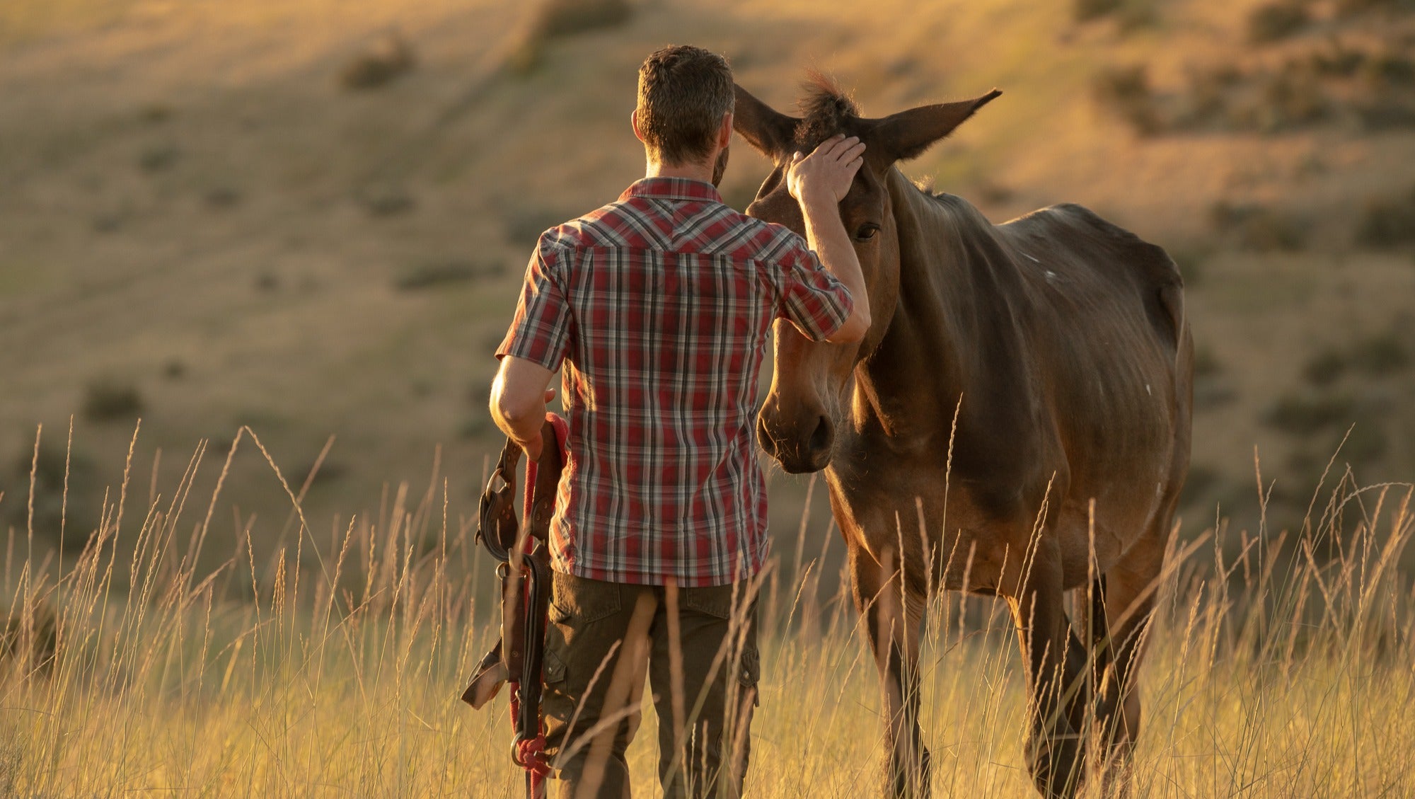 Café Mulé Bids Farewell to Beloved Mascot Richard