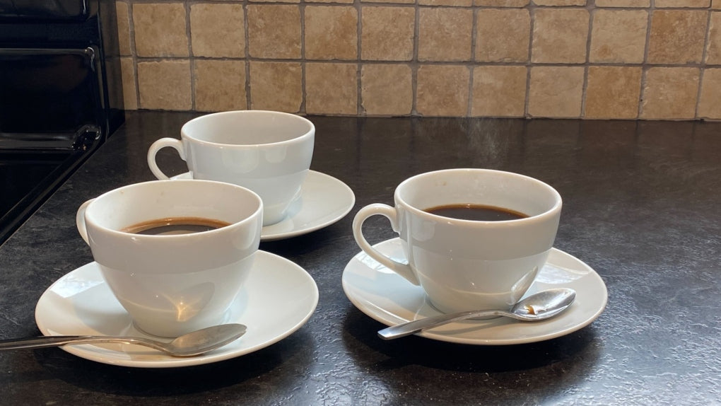 Thousand Hills Coffee - Reviving Rwanda's Legacy, One Cup at a Time