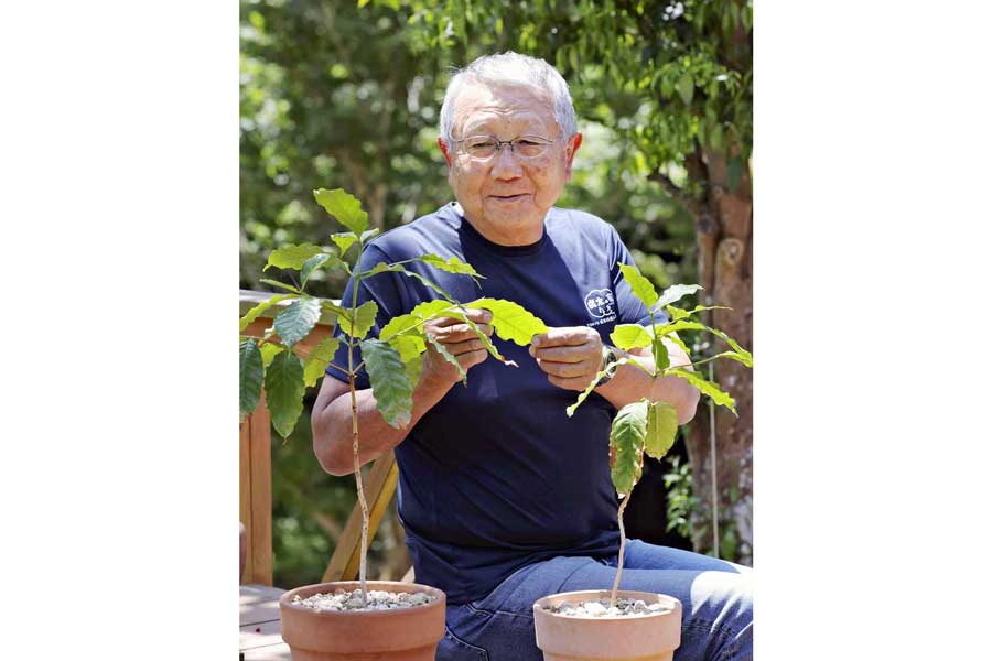 Reviving Rota Island's Coffee Legacy - A Symbol of Friendship