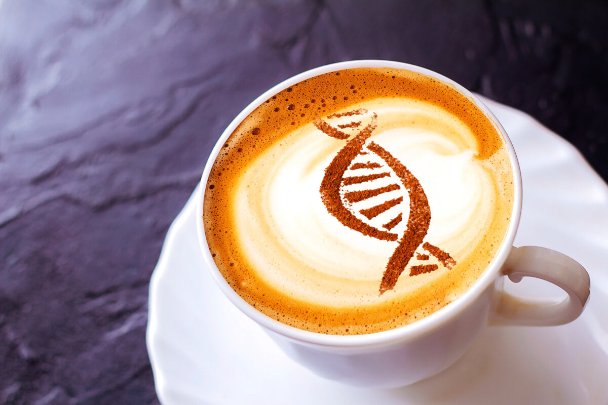 Genetic Influence on Coffee Drinking - Is It Good or Bad for You?
