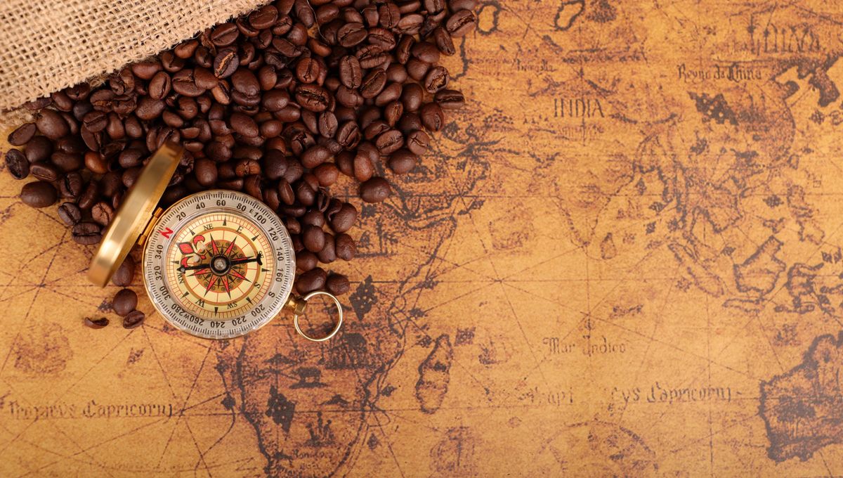 The Fascinating Journey of Coffee - From Ancient Legends to Modern Day
