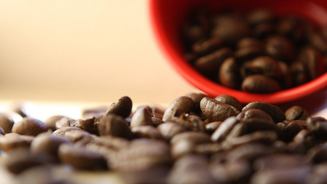 Coffee Recall Alert - Mislabeled Grounds Sold in 15 States