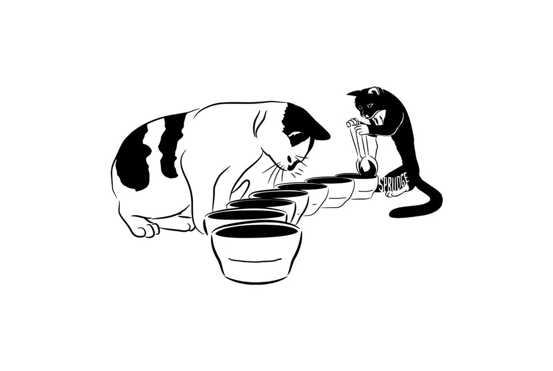 Discover the Art of Coffee Cupping - A Professional Ritual