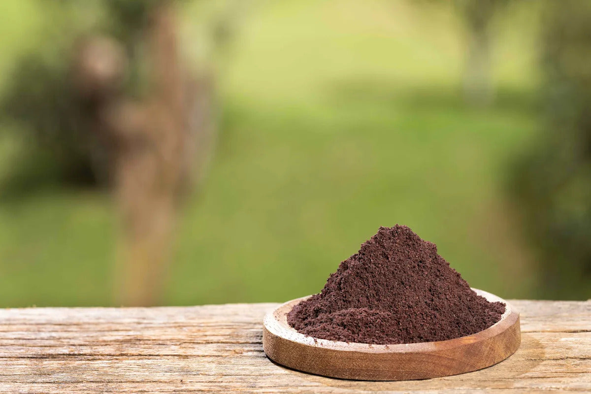 Coffee Grounds - Myth or Magic for Pest Control?