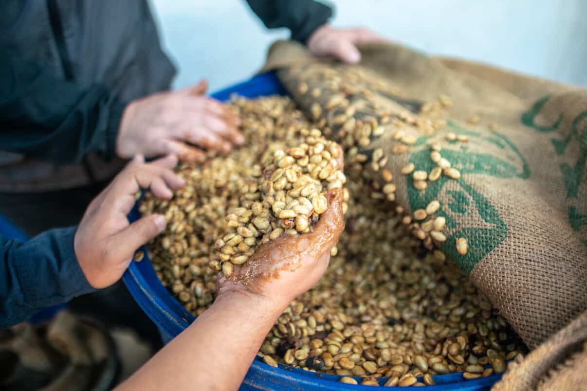 San Diego's Coffee Evolution - From Tuna Town to Brew Haven