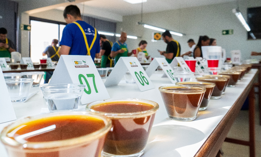 Celebrating 25 Years of the Coffee Olympics in Brazil