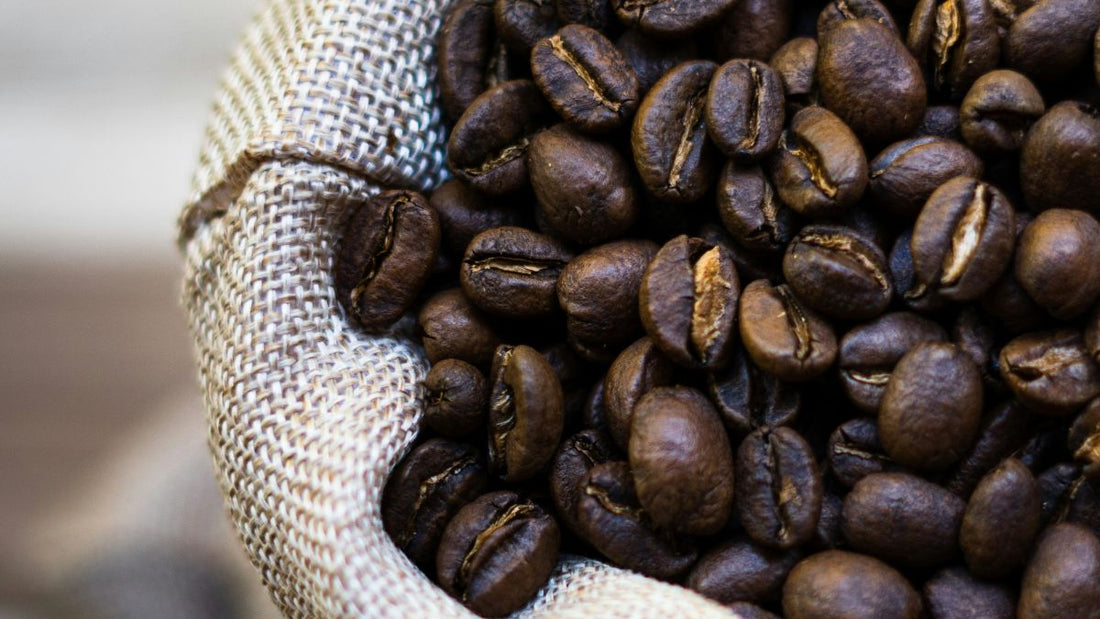 El Salvador's Bukele Unveils Bean of Fire Coffee Brand to Boost Economy