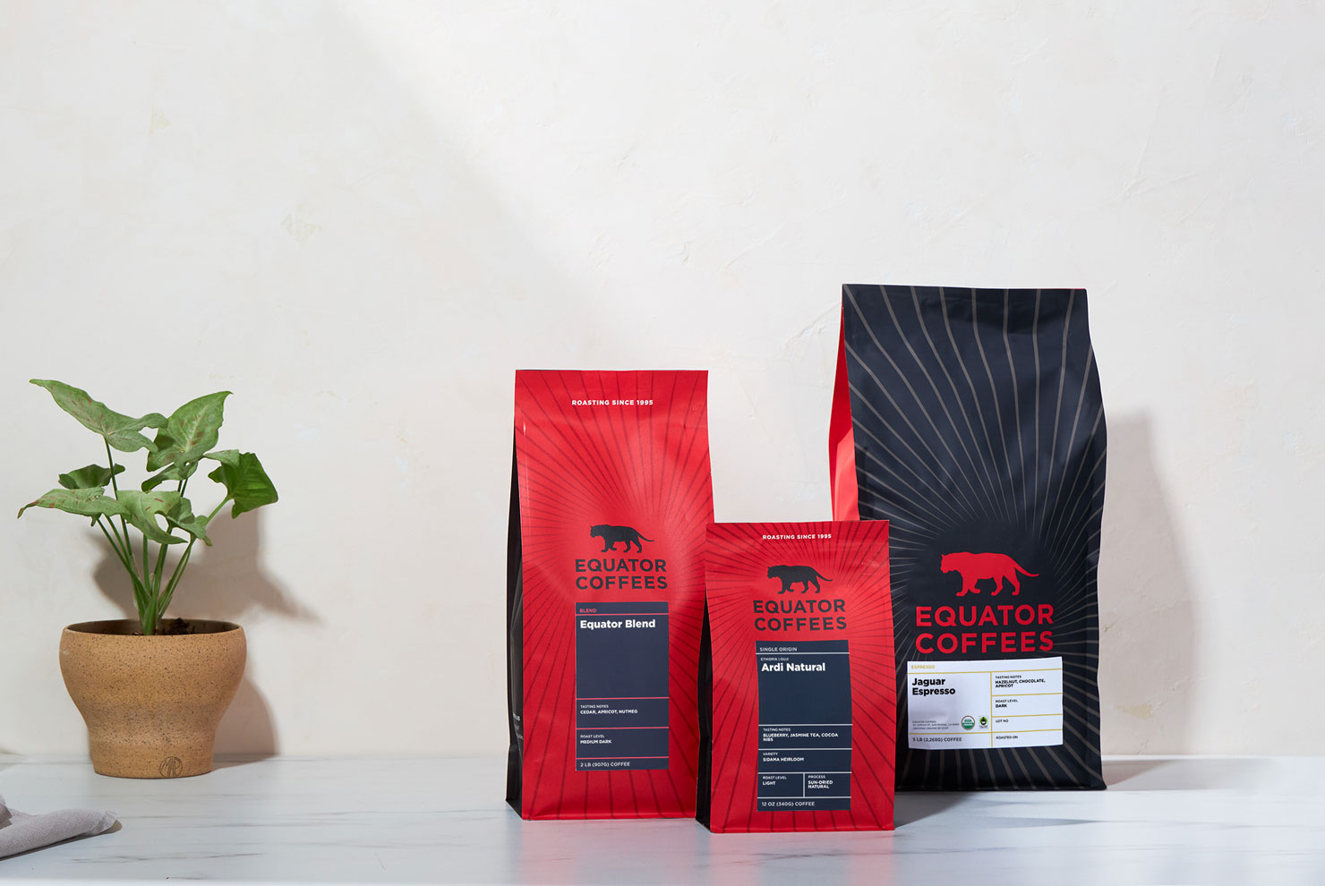 Equator Coffee’s New Look - A Subtle Design Revolution