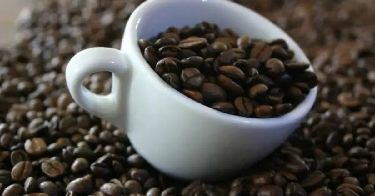 India's First EUDR-Ready Coffee - A Sustainable Milestone