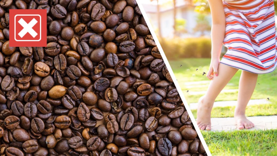 Burning Coffee Grounds to Repel Mosquitoes - Fact or Fiction?