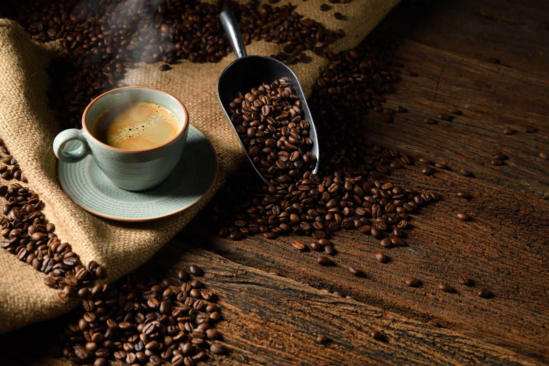 The Secret to Fresh Coffee - Top Canisters for Your Beans