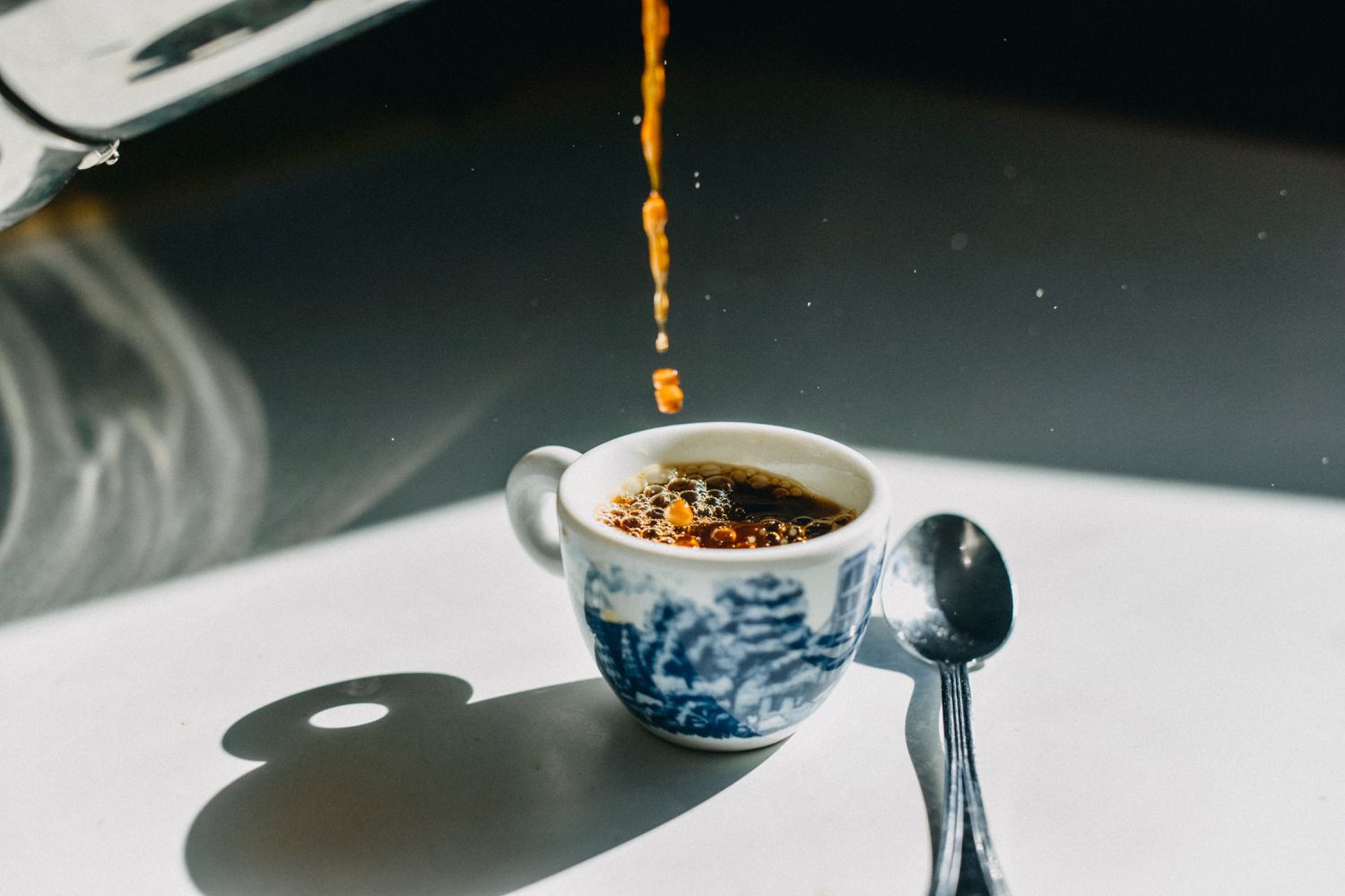 Best Way to Store Coffee - The Coffee Gator Canister