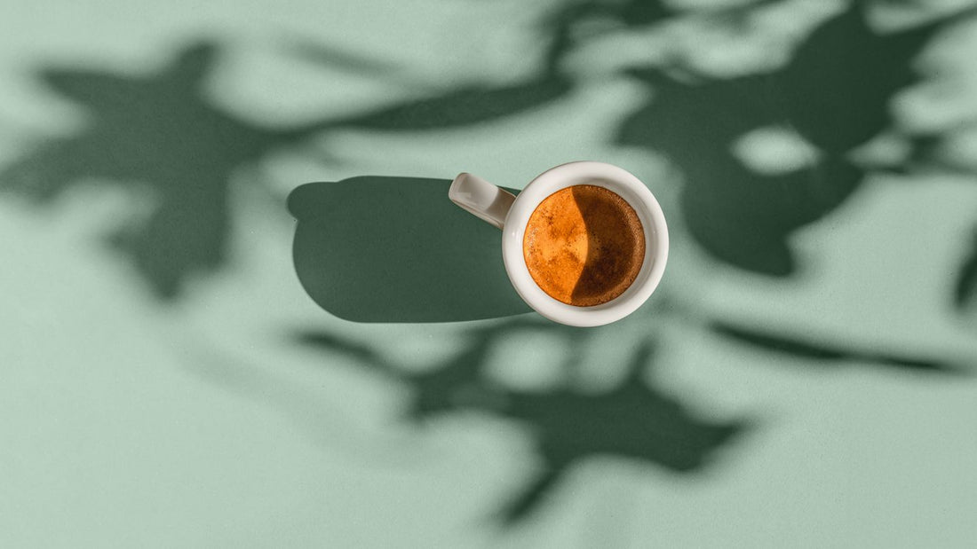 Coffee Choices - How Brewing Methods Affect Cholesterol Levels