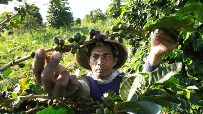 Coffee Prices Hit Record Highs Amid Supply Shortages and Rising Costs