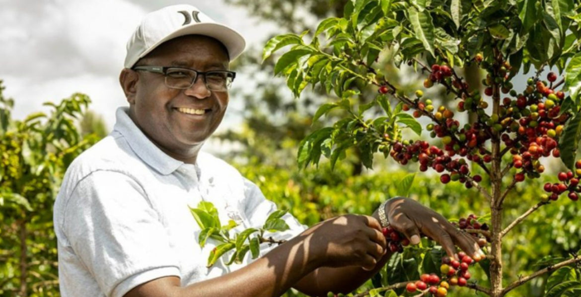 Solai Coffee - Uplifting Kenyan Farmers One Brew at a Time