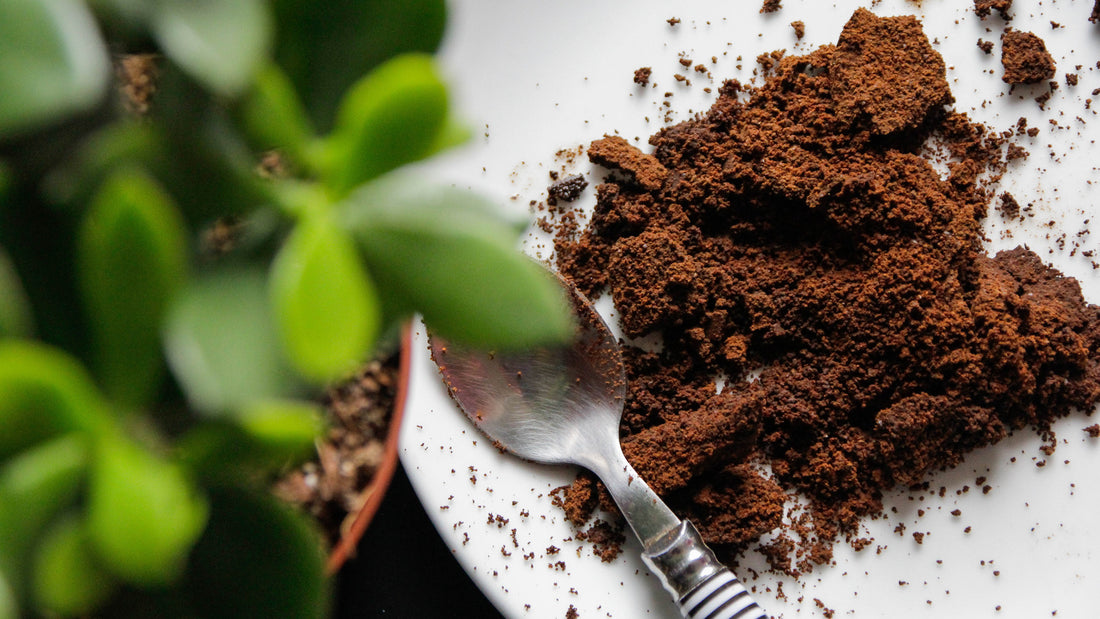Burning Coffee Grounds - A Natural Way to Keep Mosquitos Away