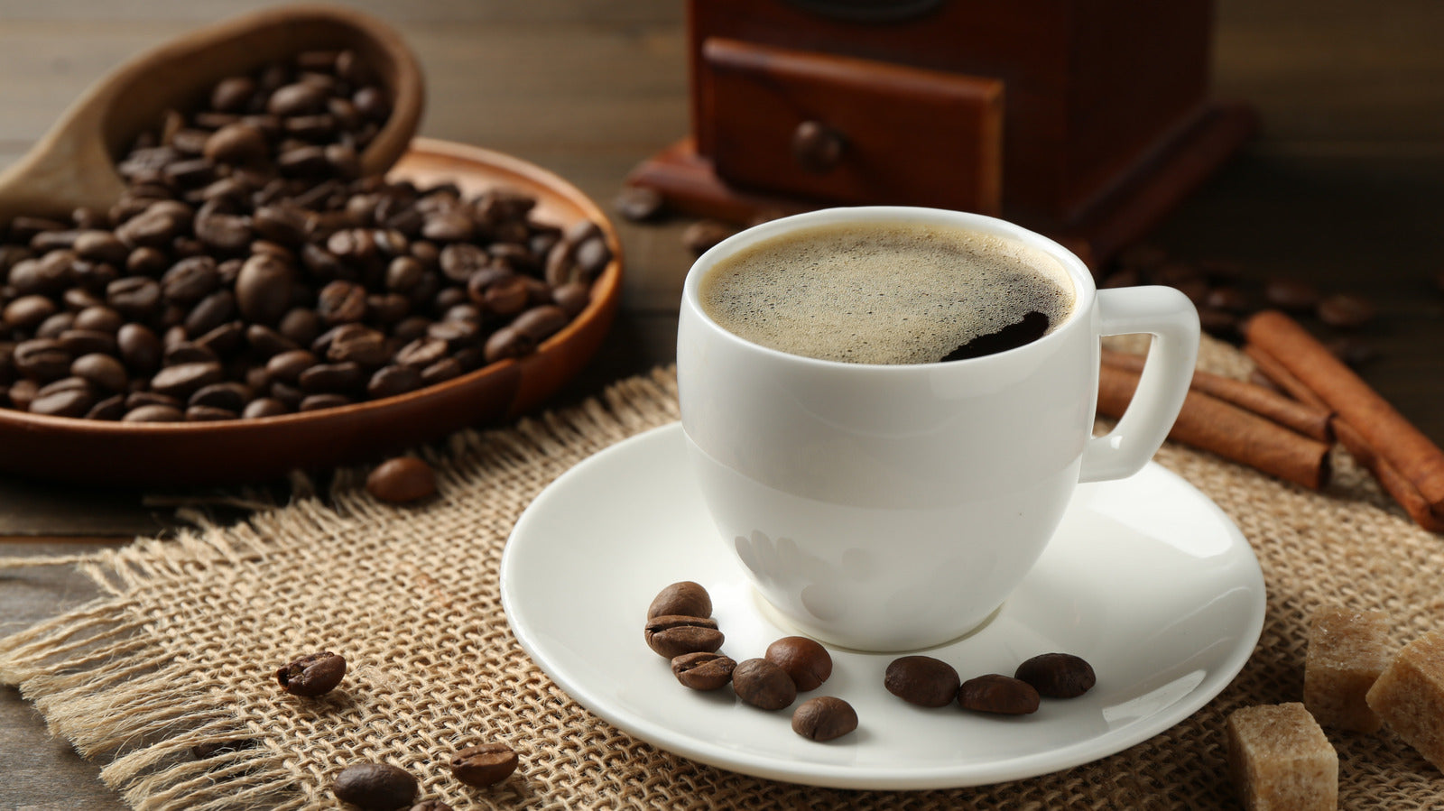 Discovering the World of Coffee Beans - A Flavorful Journey