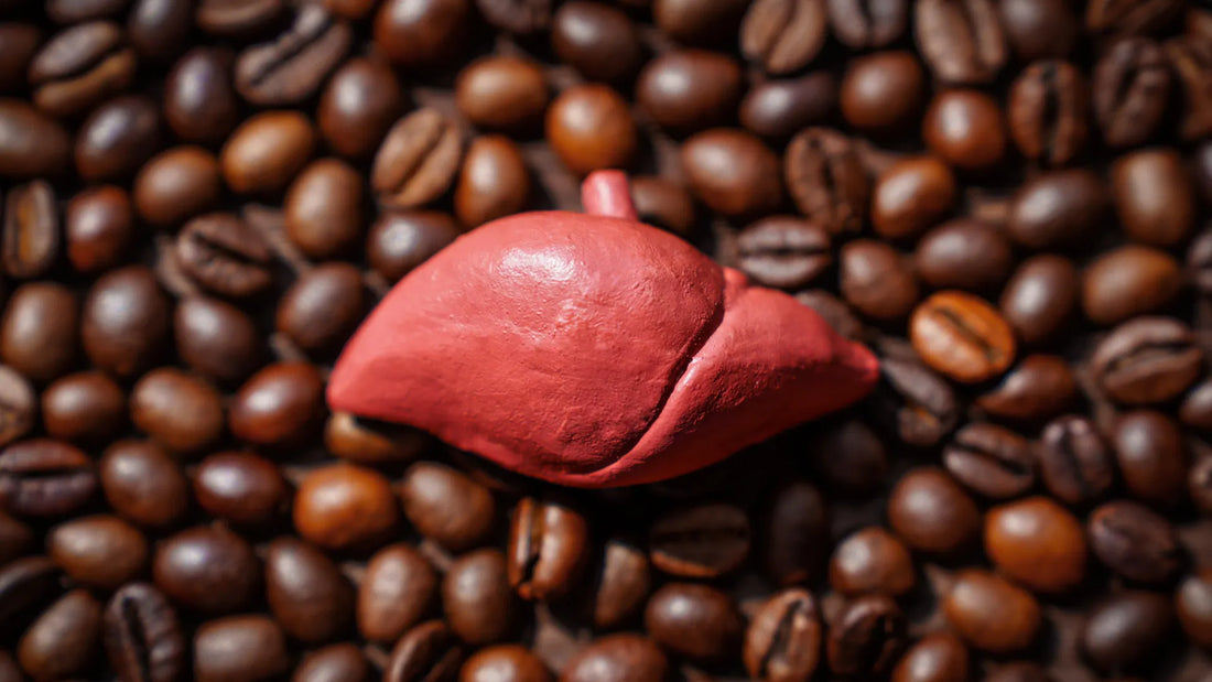 Coffee's Surprising Link to Liver Health - What You Need to Know