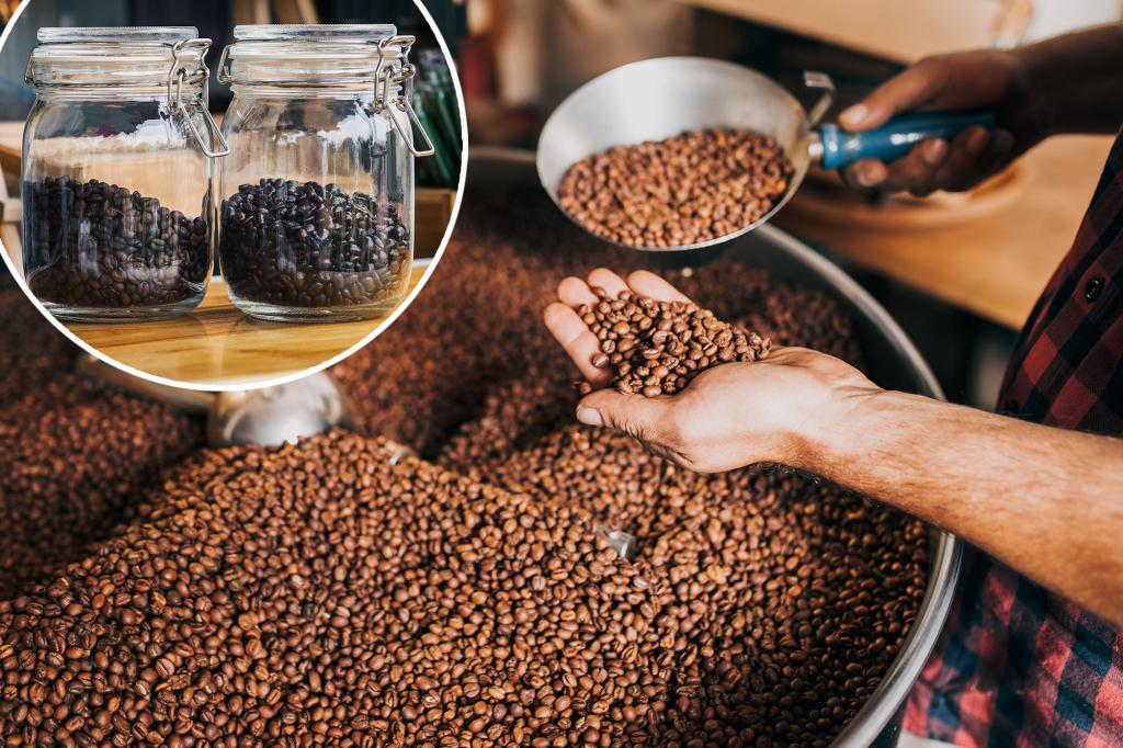 Keep Your Coffee Beans Fresh with This Expert-Approved Freezing Hack