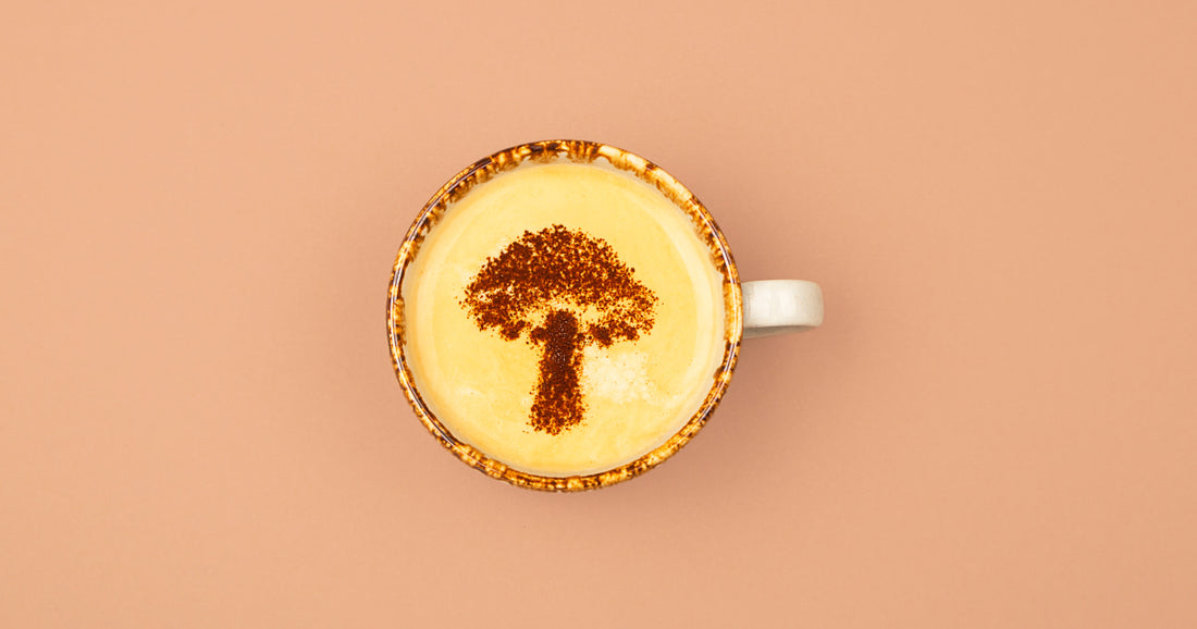 Mushroom Coffee - The New Wellness Trend for Your Morning Brew