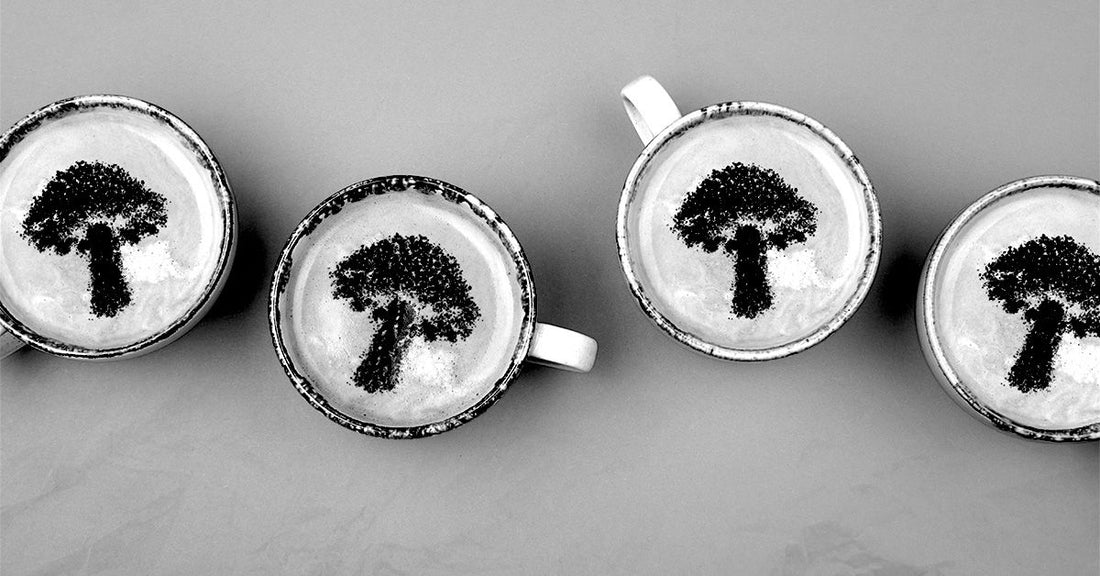 Mushroom Coffee - The Trendy Brew with Potential Health Perks