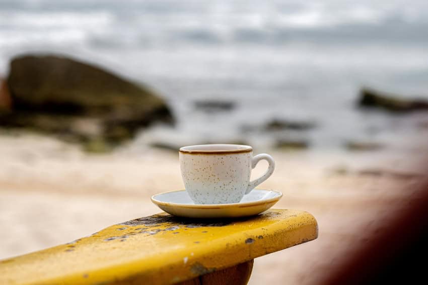 Discovering the Hidden Coffee Gems of Veracruz