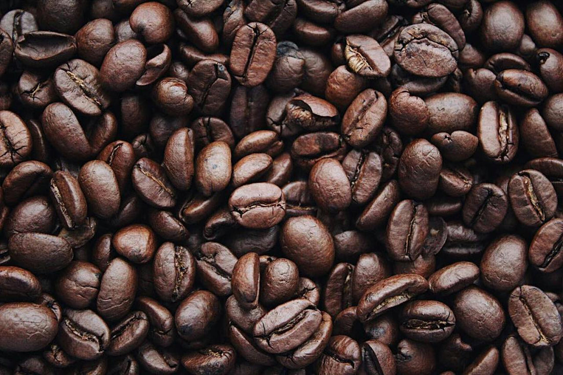 Houston Bakery and Coffee Co. Team Up for Limited-Time Coffee Cupcakes