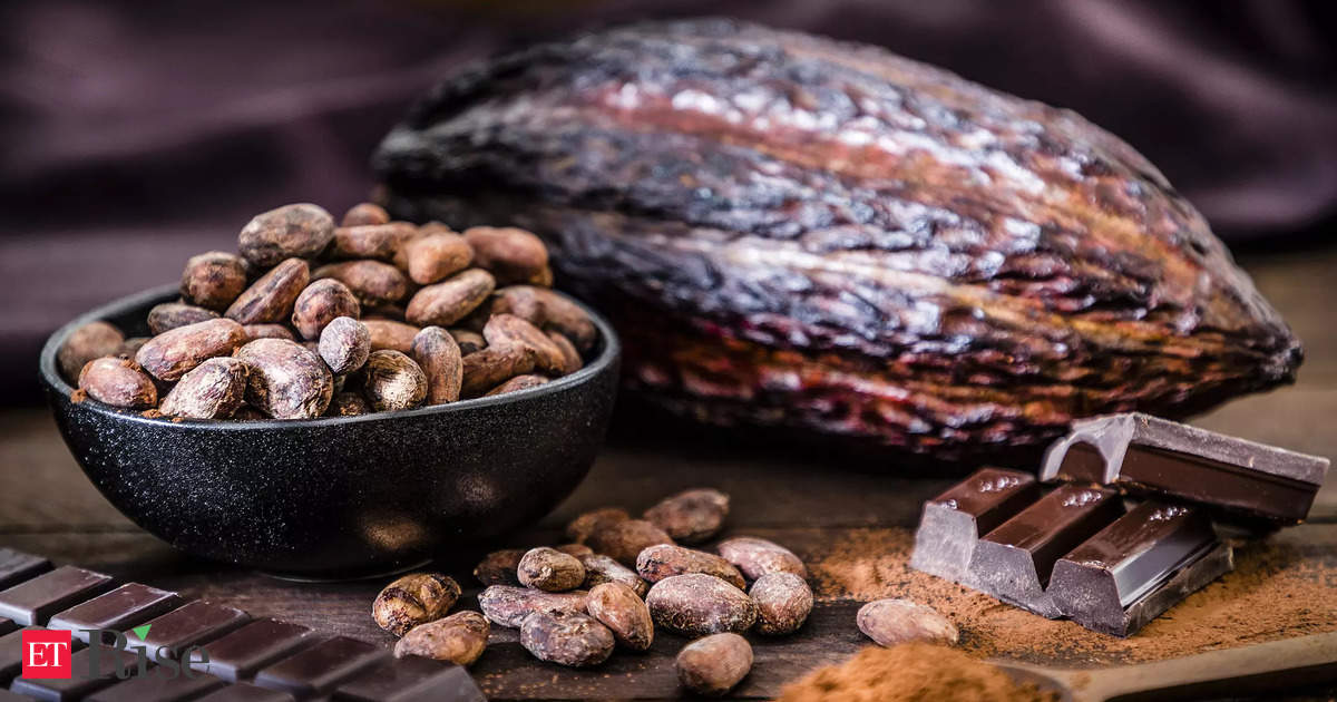 New Platform to Verify Deforestation-Free Cocoa and Coffee Launches Soon