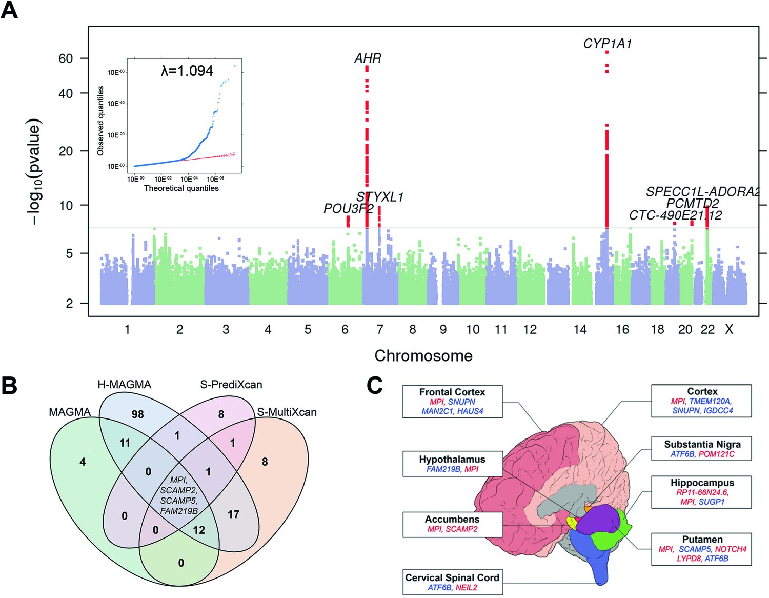 Genetics or Environment - What Drives Our Coffee Consumption?