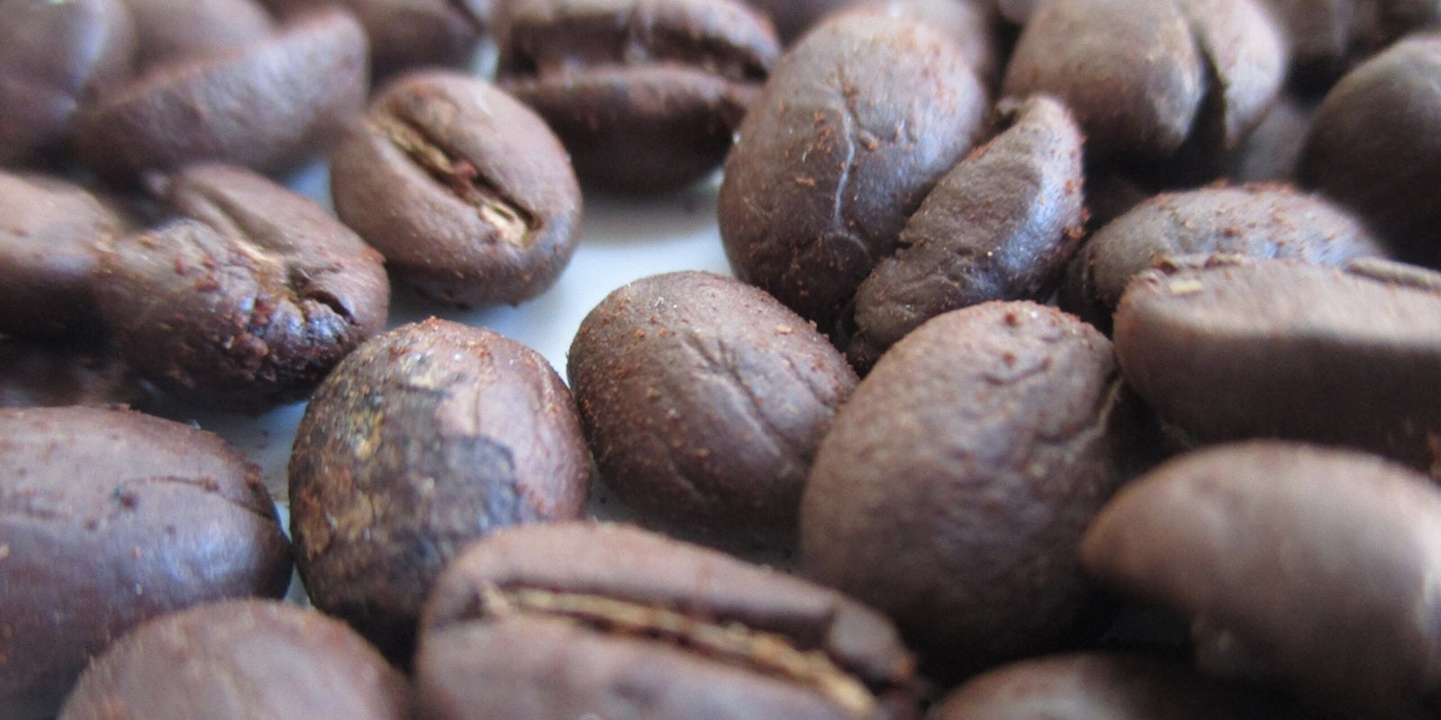 Revolutionizing Coffee Farming with Digital Solutions
