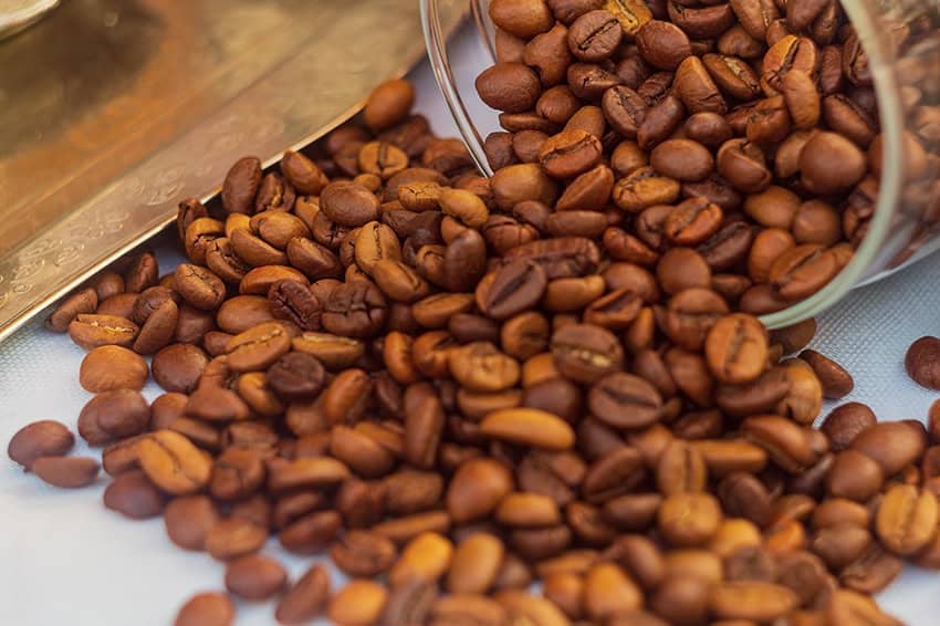 Veracruz Coffee Farmers Protest Imports Harming Local Production