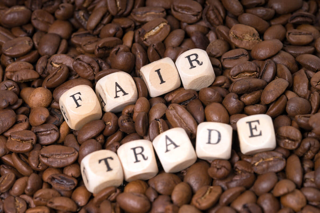 Crafting Conscious Coffee - The Best Ethical Brands to Know