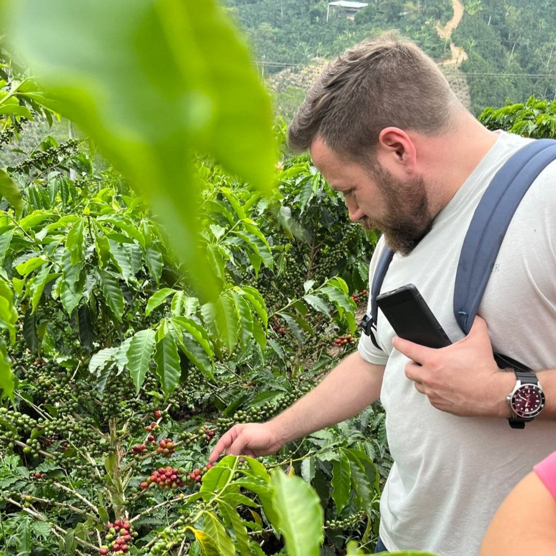 Exploring Inequity in the Specialty Coffee Industry