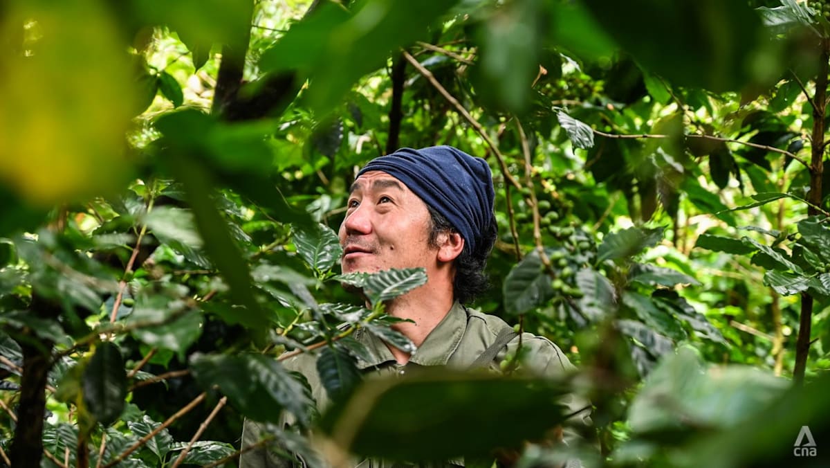 Coffee Culture in Thailand - A Growing Demand for Quality and Flavor