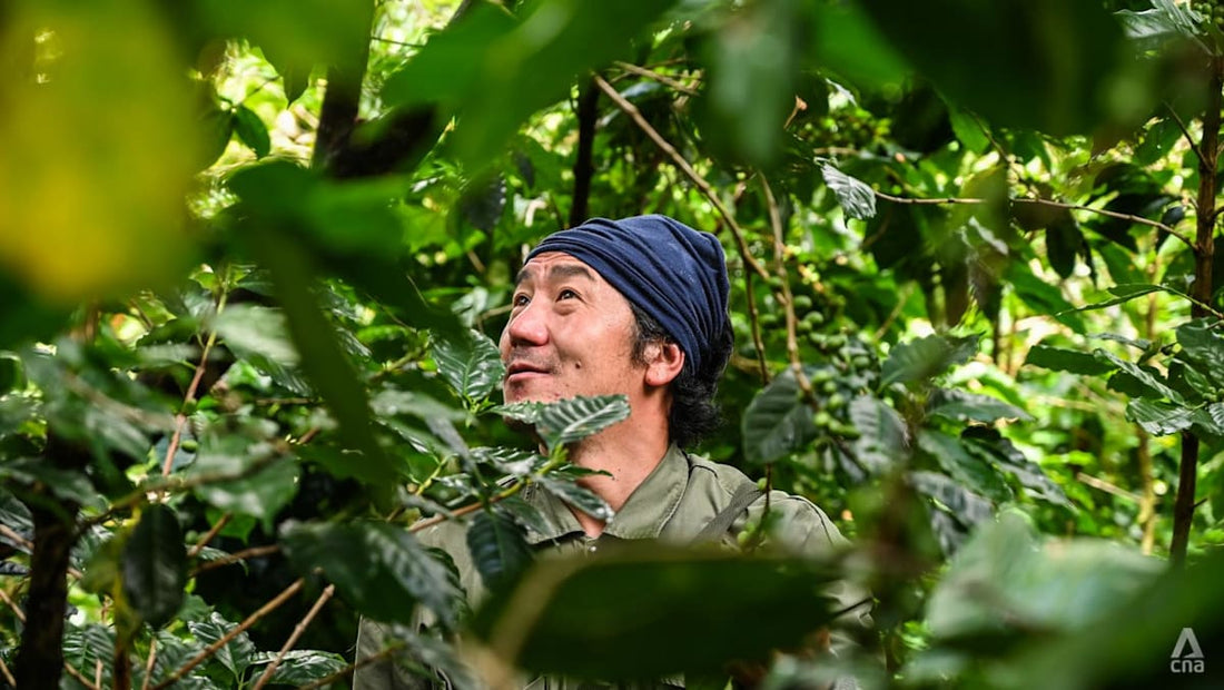 Coffee Culture in Thailand - A Growing Demand for Quality and Flavor