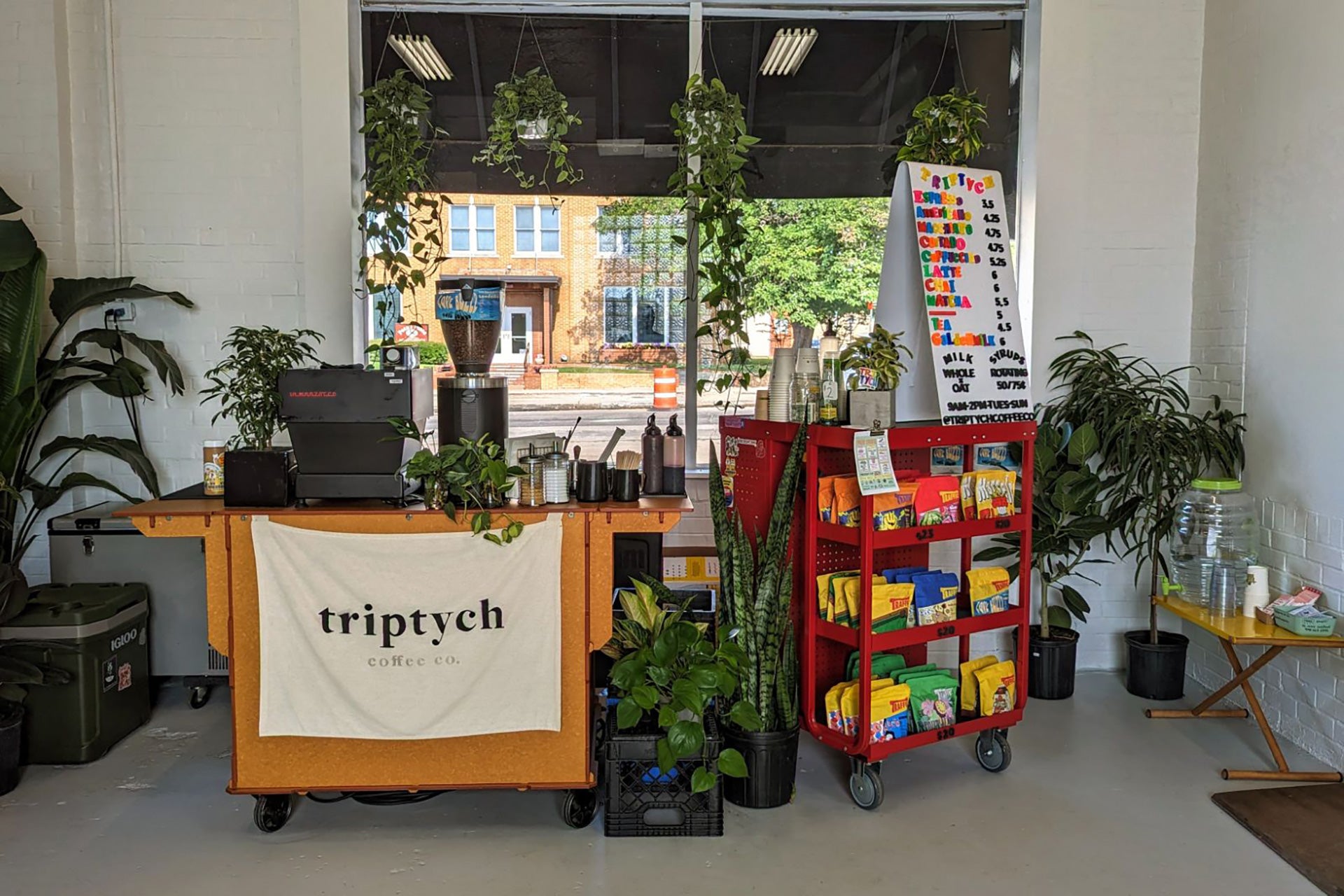 Discover Denton's Newest Gem - Triptych Coffee