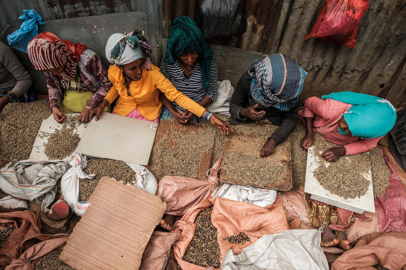 International Coffee Day - A Global Celebration of Coffee's Impact