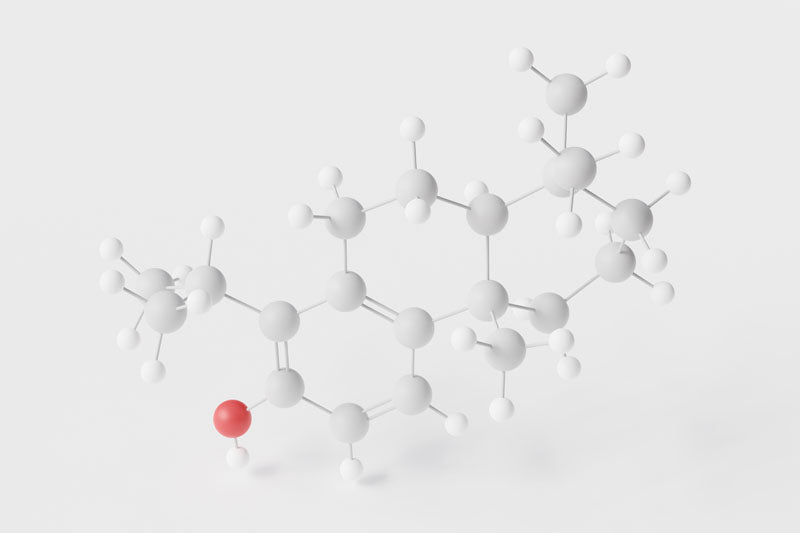 Unlocking Coffee's Health Benefits - New Bioactive Compounds Discovered