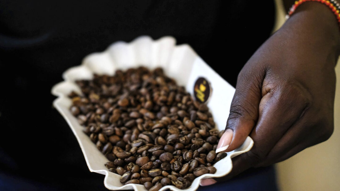 Empowering Women in Uganda's Coffee Industry