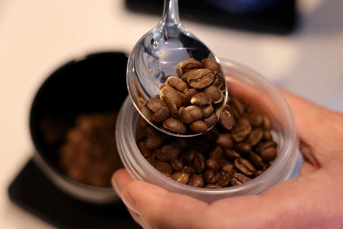 Ohm Coffee Roasters Expands with New Sonoma Location