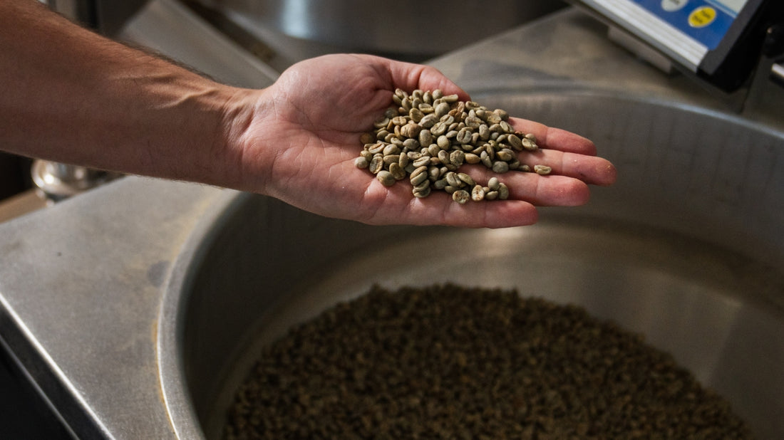 Impact of Trump's Tariffs on Brazilian Coffee - A Brewing Crisis