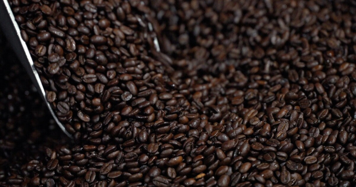 Denver Coffee Roasters Face Challenges from Rising Tariffs