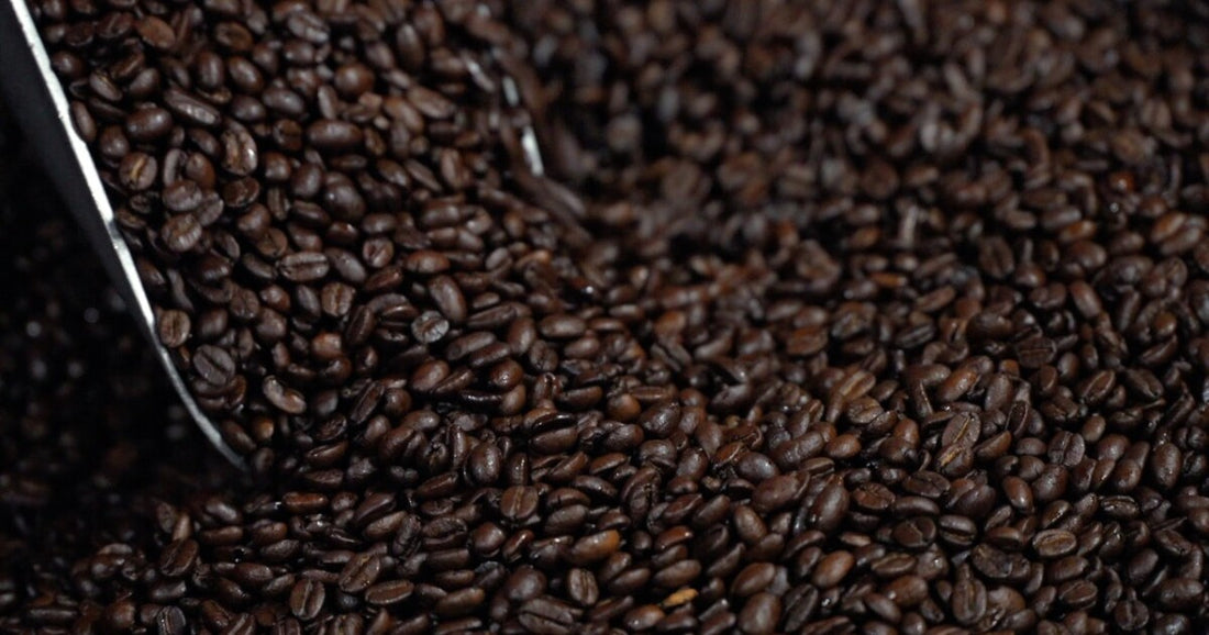 Denver Coffee Roasters Face Challenges from Rising Tariffs