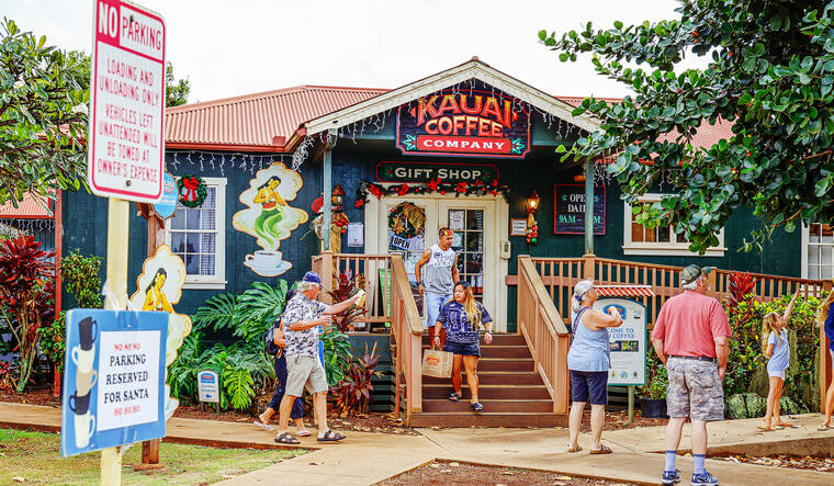 Kauai Coffee's Future Uncertain as Land Lease Expires Soon